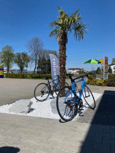 two bikes are parked next to a palm tree at Apartamenty Zatorze in Leszno