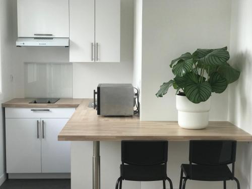 a kitchen with a table with a potted plant on it at Hyper Centre Port La Rochelle in La Rochelle