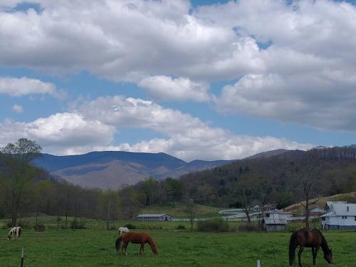 Country Mountain Escape! – Photos 5