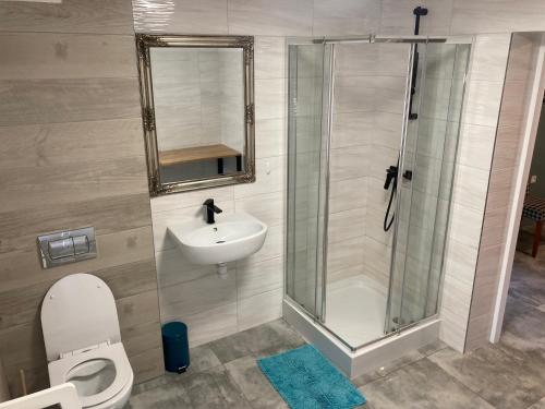 y baño con ducha, lavabo y aseo. en Apartamenty PRZY FONTANNIE, en Zielona Góra