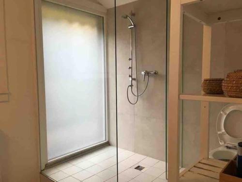 a bathroom with a glass shower with a toilet at Lakeview Gem in Krattigen