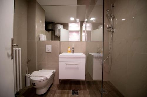 uma casa de banho com um chuveiro, um WC e um lavatório. em K Milutina em Belgrado