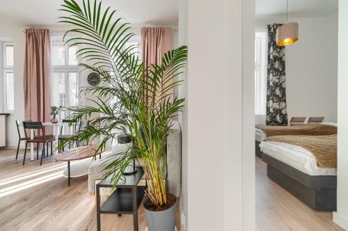 salon z rośliną na stole w obiekcie Kamienica Centrum Apartament nr 6 w Szczecinie