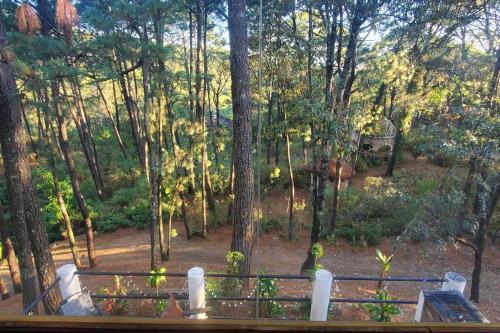 a view of a forest from a balcony at Villa Fantasía a 15 min a pie de cascada in Mazamitla