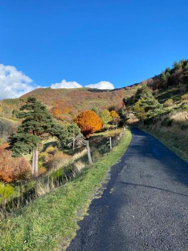 a road with trees on the side of a hill at Gîte de charme en plein cœur de l’Ardèche verte in La Rochette