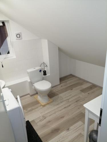 a bathroom with a toilet and a wooden floor at Ferienhaus Brise Ostsee in Kalkhorst