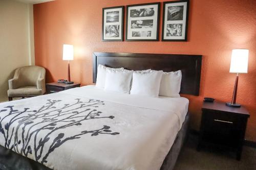 a hotel room with a bed and a chair at Sleep Inn & Suites Ocala in Marion Oaks