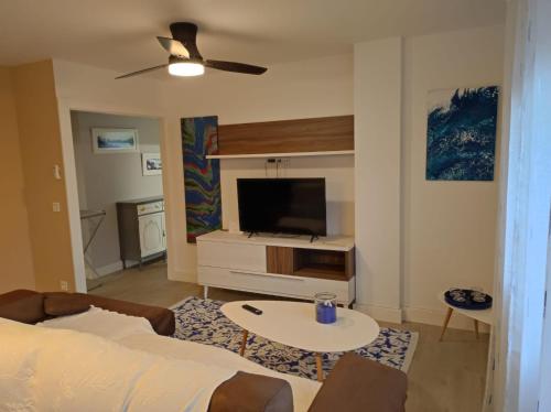 ein Wohnzimmer mit einem Sofa und einem TV in der Unterkunft Apartamento playa de Chancelas, Pontevedra in Combarro
