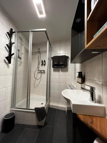 a bathroom with a shower and a sink at HEIMATliebe Apartment für 2 in Blankenhain