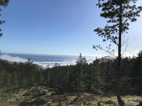 a view from the top of a mountain with trees at Maravillosas Vistas Boyeruca Lodge in Vichuquén