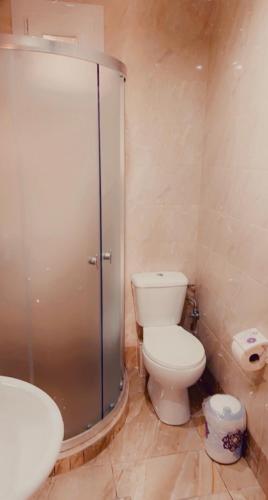 a bathroom with a shower and a toilet and a sink at Ifos Apartments in Thessaloniki