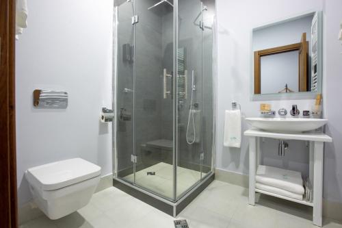 a bathroom with a shower and a toilet and a sink at Alma Boutique Hotel in Tbilisi City