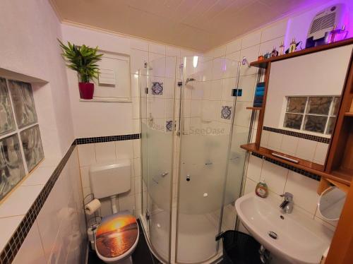 La salle de bains est pourvue d'une douche, de toilettes et d'un lavabo. dans l'établissement SeeOase Muhr am See inkl Frühstück, à Muhr amSee