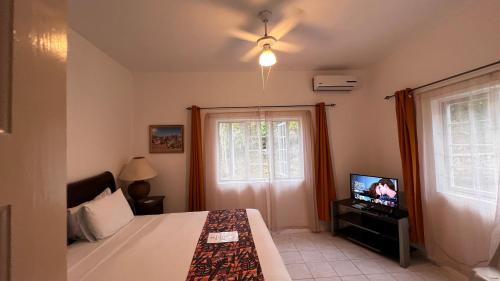 a bedroom with a bed and a tv and a window at All Nations Guest House in Port Antonio
