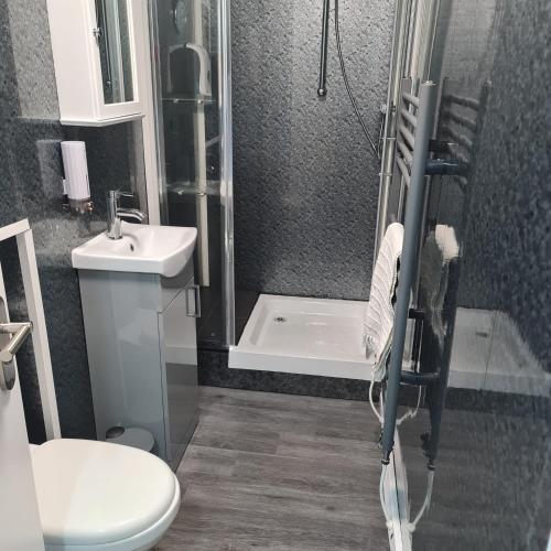 a bathroom with a shower and a toilet and a sink at Town Centre Maisonette in Ulverston