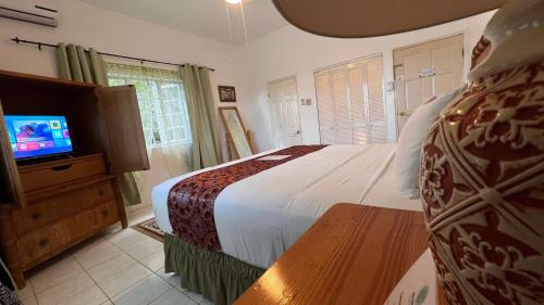 a bedroom with a bed and a television in it at All Nations Guest House in Port Antonio