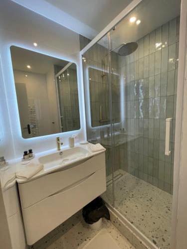 La salle de bains est pourvue d'un lavabo et d'une douche. dans l'établissement Sublime Coeur Deauville, à Deauville