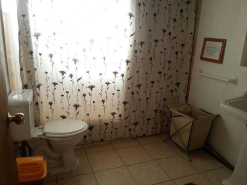 a bathroom with a toilet and a curtain with flowers at Arriendo Casa Pichidangui in Los Vilos
