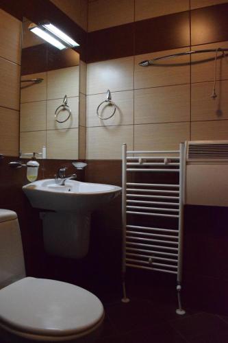 ein Badezimmer mit einem Waschbecken, einem WC und einem Spiegel in der Unterkunft Green Life Bansko Apartments in Bansko