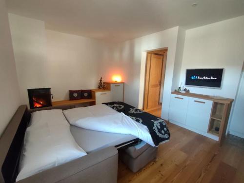 1 dormitorio con 1 cama grande y TV en Happy Bolbeno House CIPAT: 022239-AT-814829, en Saone