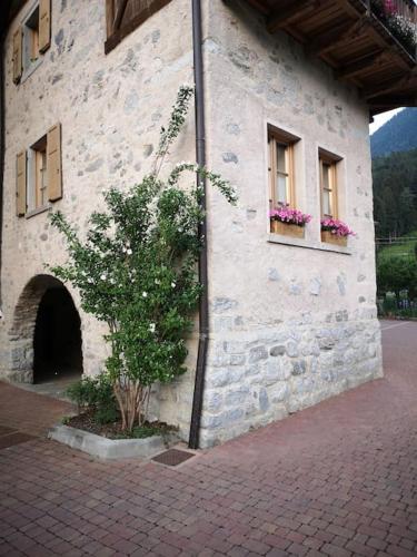 a stone building with two windows and a tree at Happy Bolbeno House CIPAT: 022239-AT-814829 in Saone