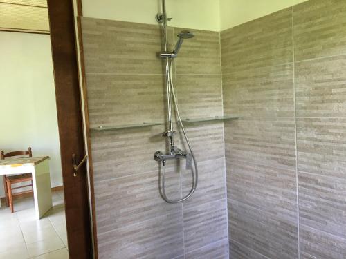 a shower with a glass door in a bathroom at Pension Te Aroha - Te Arii in Maatea