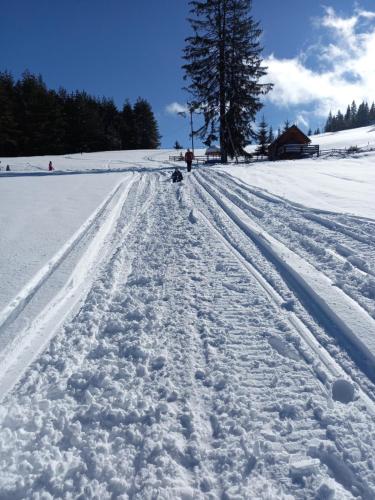 Zlatna Jabuka apartman en invierno