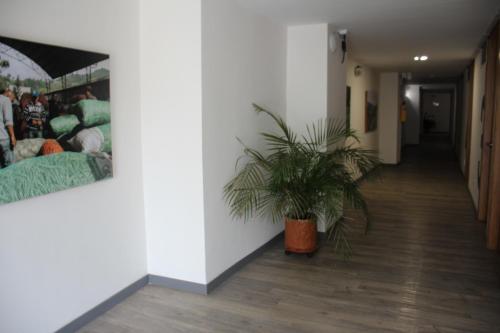 a hallway with a potted plant on the floor at Hotel Plaza El Santuario in Santuario