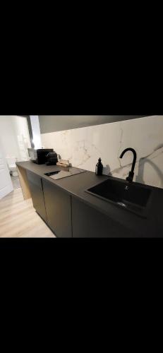 uma cozinha com um lavatório e uma bancada em Suite Onega em Lyon