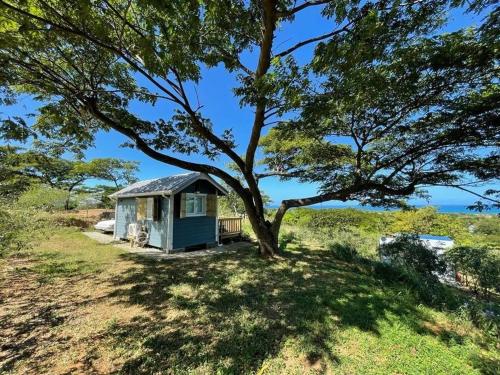 un piccolo capanno blu sotto un albero di Vista Mar y Tierra - Tiny House on an acre with ocean view 