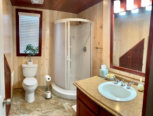 un bagno con doccia, WC e lavandino di Walker's Place a Outback Mobile Home Settlement