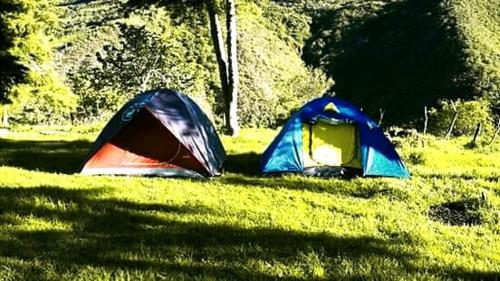 dos tiendas sentadas en el césped en un campo en Shirma Nua Chaucha, en Cuenca