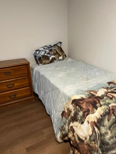 Mini Cabin LLC – Photos 2