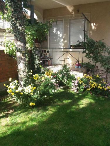 a garden with yellow flowers on a house at Angelina Apartment in Bitola