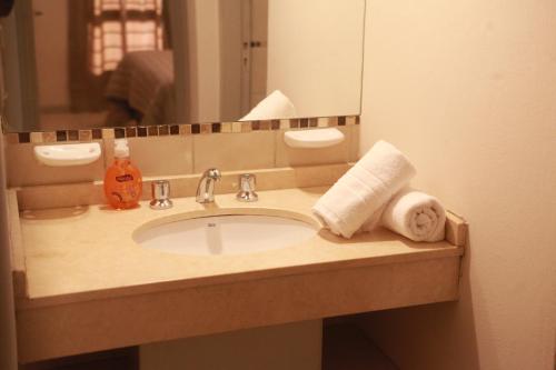 聖拉斐爾的住宿－Departamentos Los Sauces，浴室的柜台设有水槽和镜子