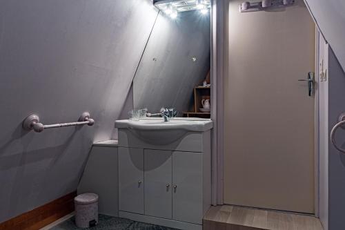 a bathroom with a sink and a mirror at chambres d hotes les papillons in Évron