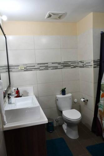 Gallery image of Reggae Inn in Kingston