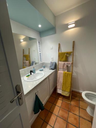 a bathroom with a sink and a toilet at Studio Martinique Ti Family in La Trinité