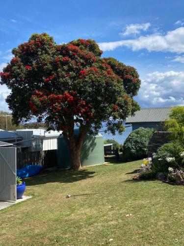 a tree with red flowers in a yard at Beach Buoy Opossum Bay in South Arm