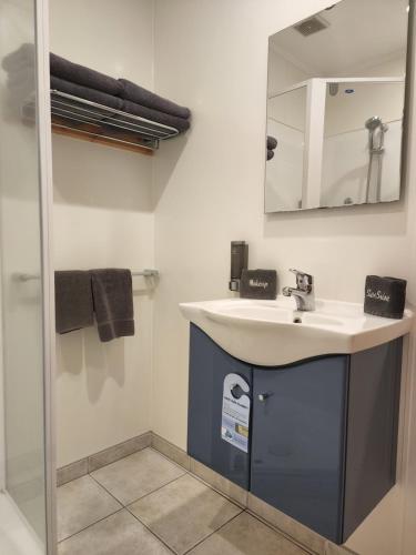 a bathroom with a sink and a mirror at Plateau Lodge in National Park