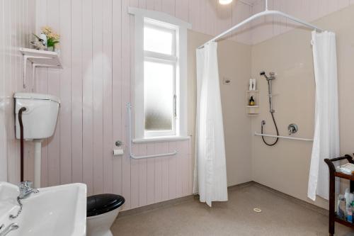 a bathroom with a shower and a toilet and a sink at Early Settler Homestead - Waipu Holiday Home in Waipu
