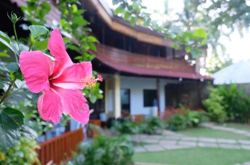 a pink flower in front of a house at Keyun’s Inn (Across Cloud 9) in General Luna