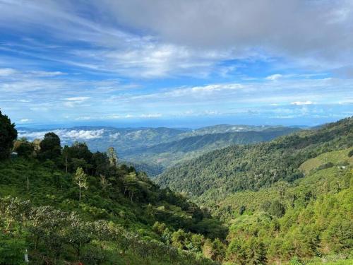 Cabaña Cerro Azul – Photos 5