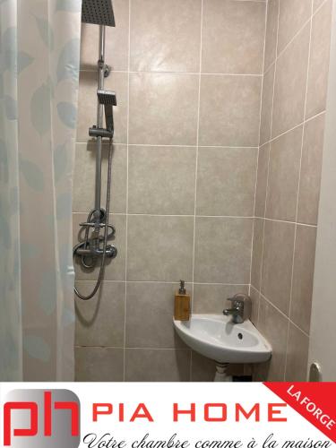 La salle de bains est pourvue d'un lavabo et d'une douche. dans l'établissement PIA HOME La Forge, à Tsingoni