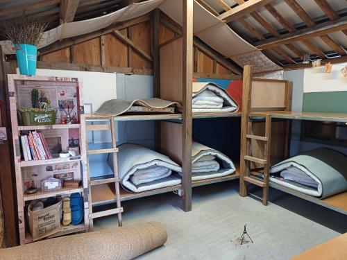 a room with three bunk beds in a room at 池上鄉屋 寵物友善民宿 in Chishang