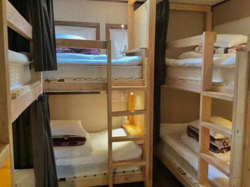 a room with several bunk beds in a room at IZA Kamakura Guest House and Bar in Kamakura