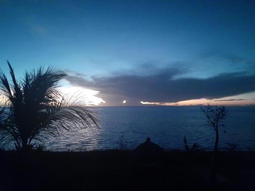 a sunset over the ocean with a palm tree in the foreground at Aux 2 Métis in Toliara