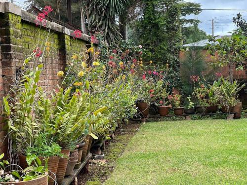 Fotografie z fotogalerie ubytování Bed&Breakfast VANILLA v destinaci Antsirabe