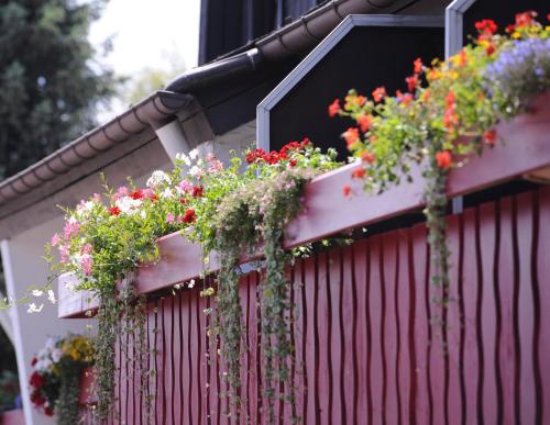 a bunch of flowers on a red fence at Hotel an der Sonne & Restaurant Zum Schneiger in Schonwald im Schwarzwald