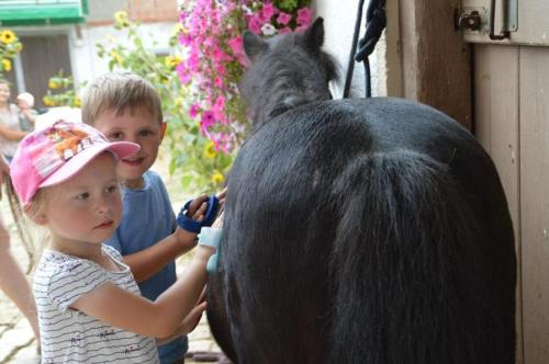 アルラッハにあるFerienhof Altmannの二人の子供が馬の隣に立っている